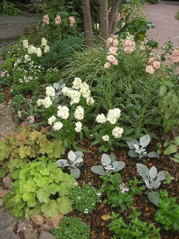 花壇の植替え