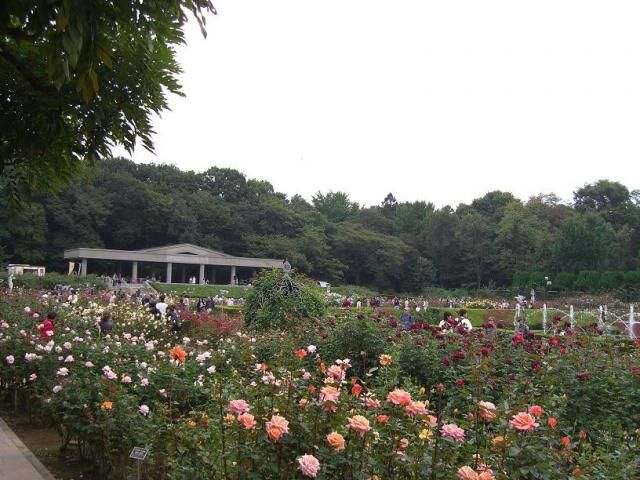 「神代植物公園」