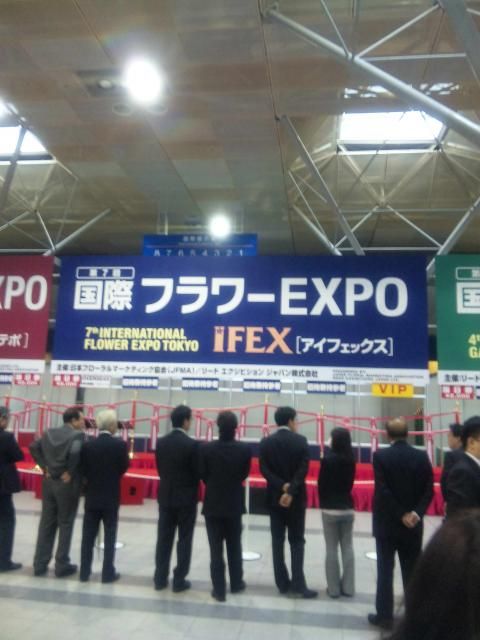 IFEX(アイフェックス）