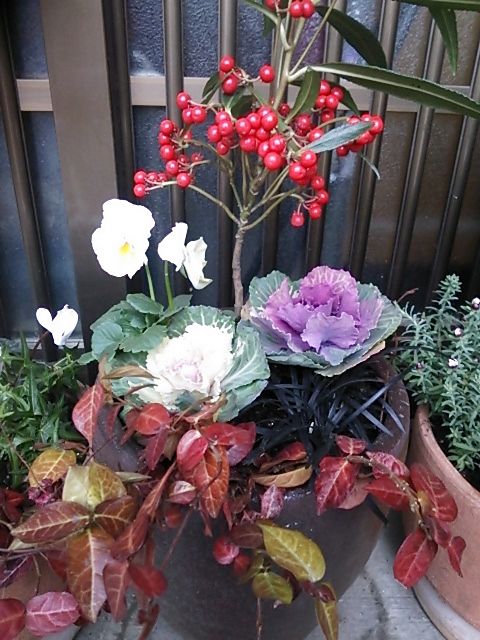 寄せ植え