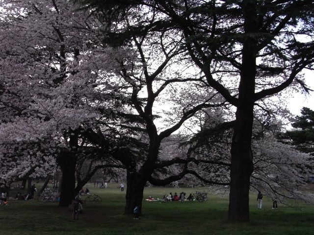 武蔵野公園と野川公園に行ってきました