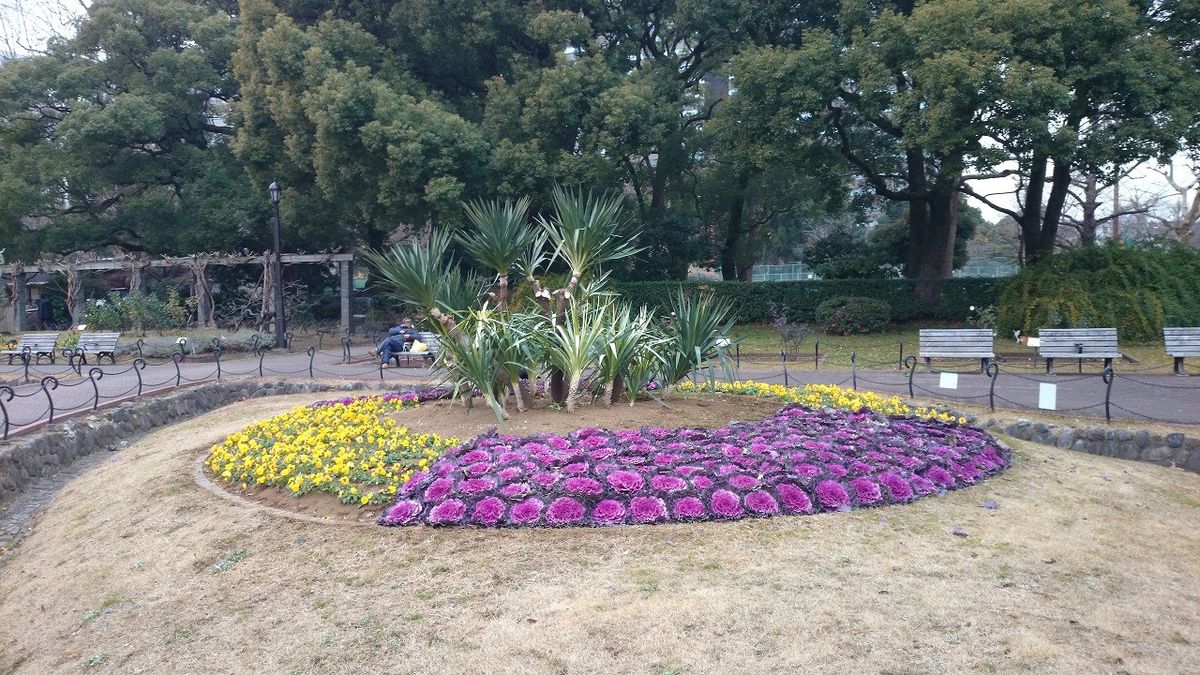 「花壇」じゃなくて「葉壇」