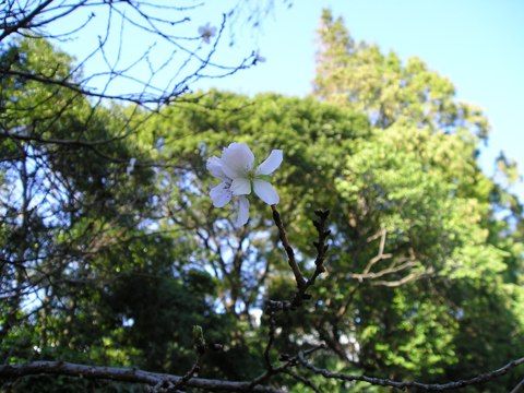 今日も秋空！