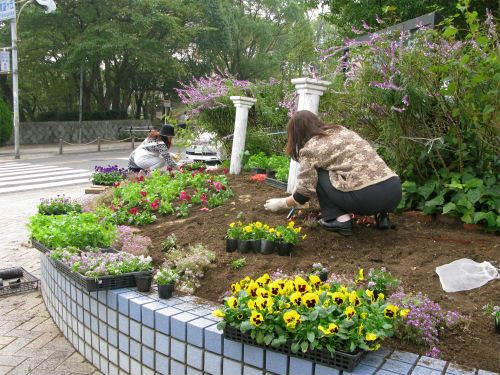 交差点花壇植え付け完了