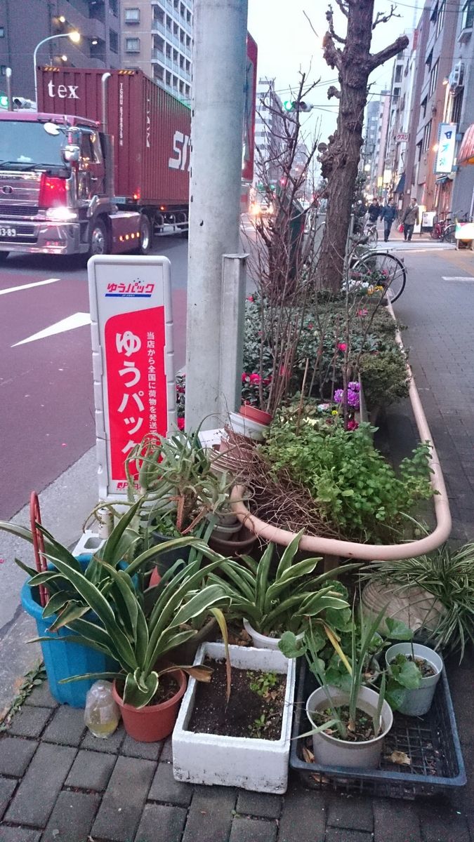 下町園芸