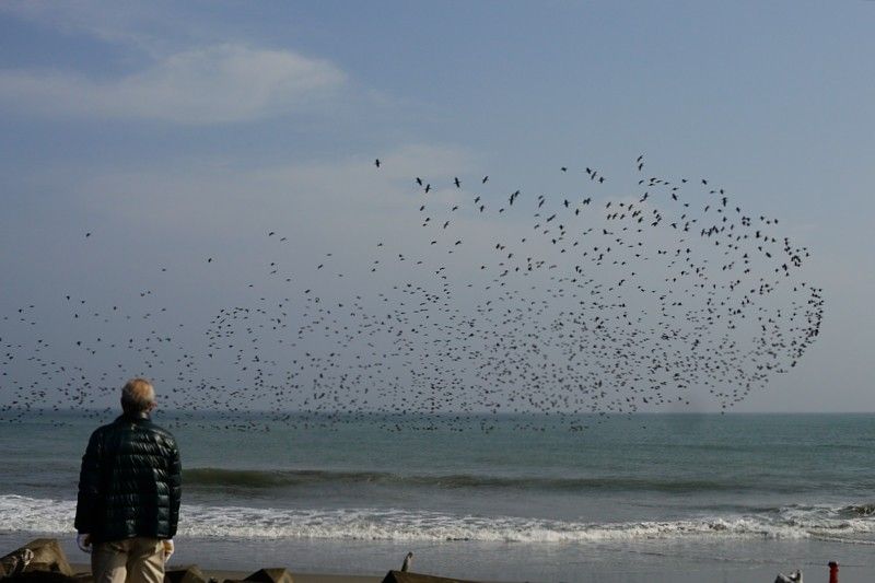 海岸で