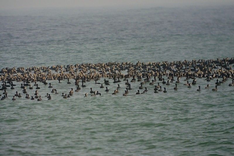 海岸で