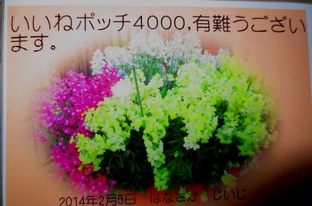 いいねポッチ4000有難うございます。