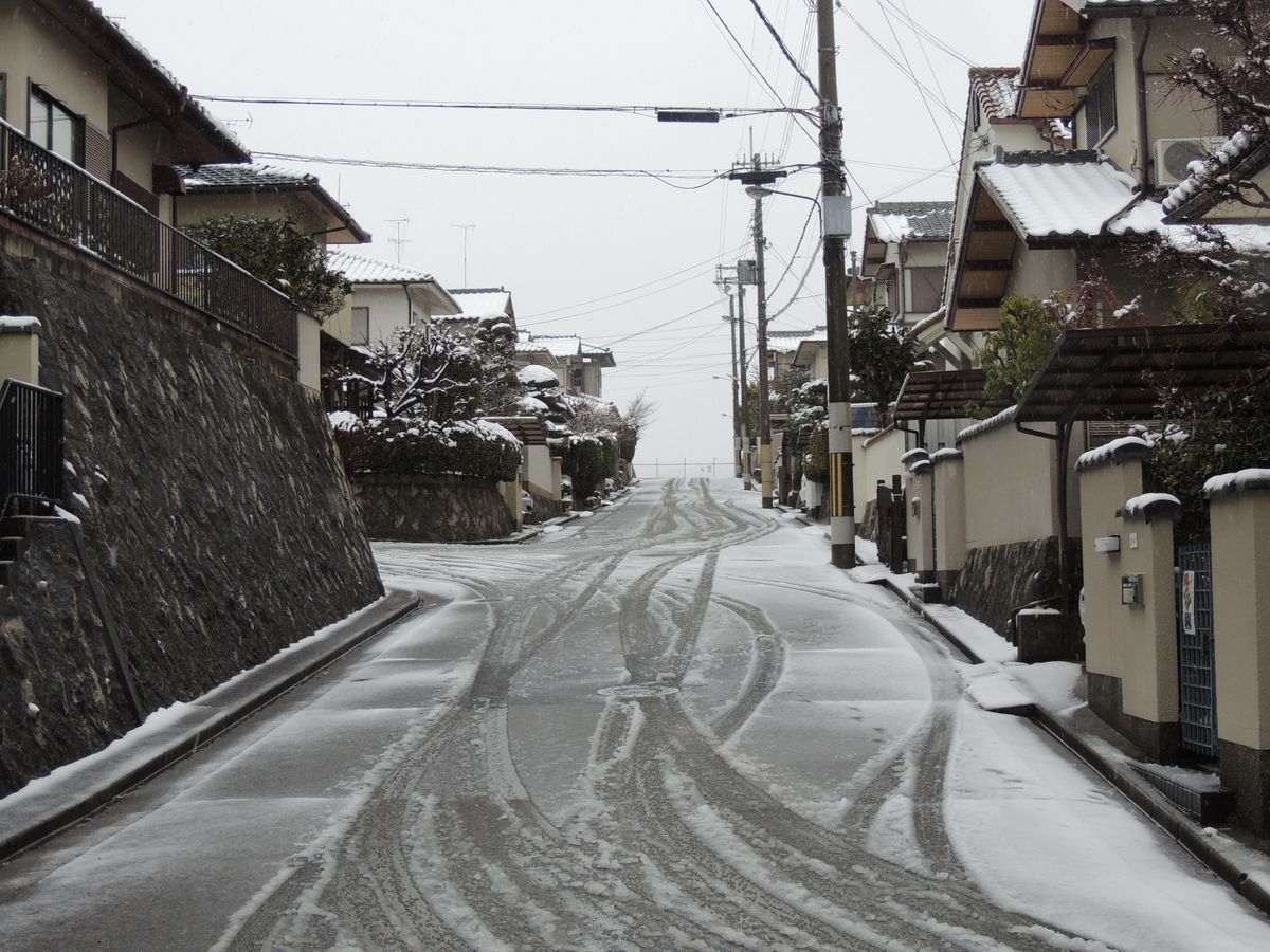 今冬　初雪