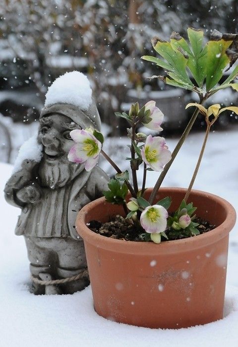 チェルシーガーデン　雪景色