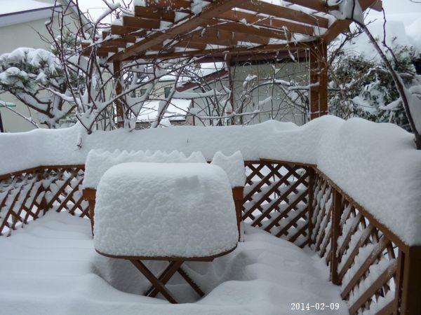 雪が積もりました。