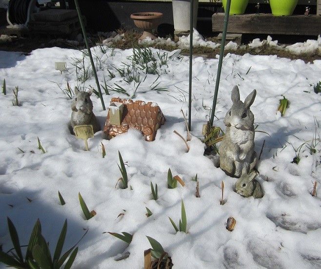 雪すかし　その後　②