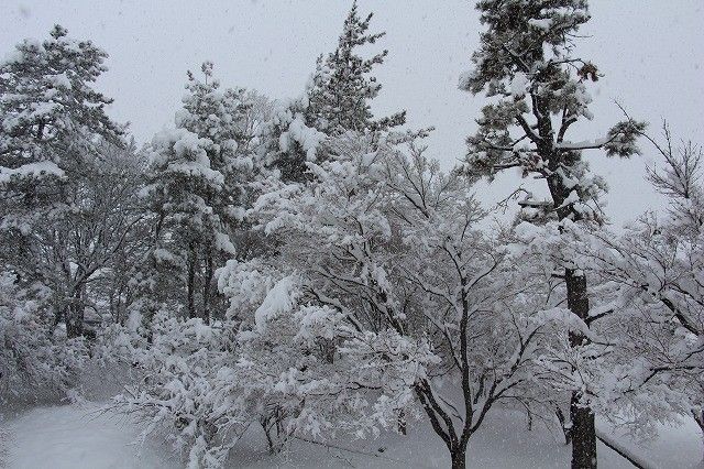 雪見温泉ツアー