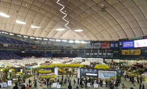 世界らん展　日本大賞2014　最終日に行ってきました。