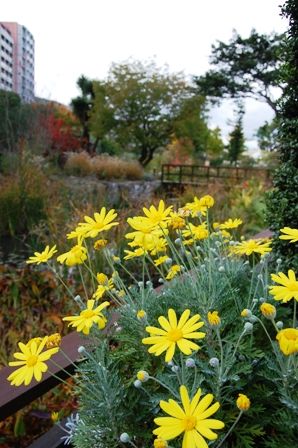 紅葉のある風景を楽しむ