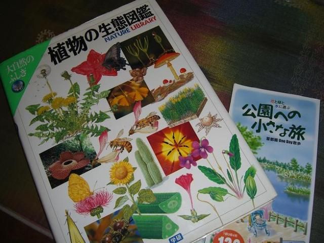 「毒性のある植物」