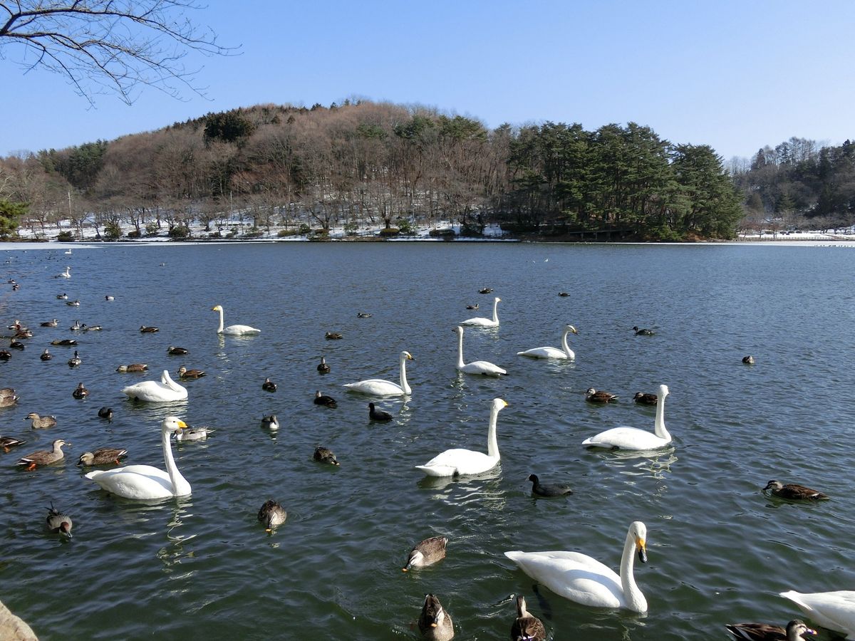 東北の旅日記