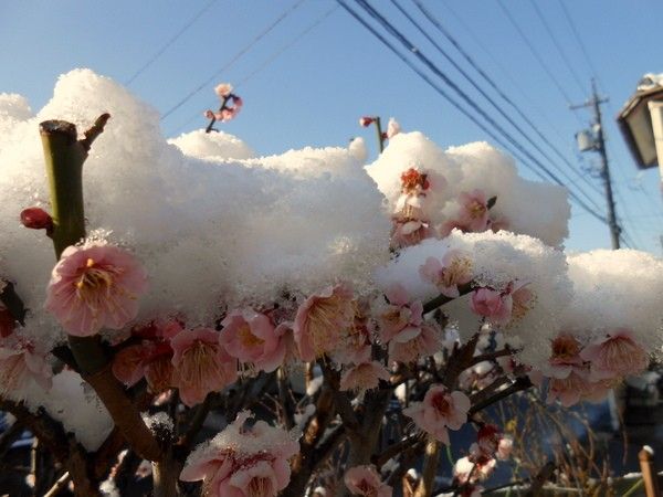 冷えたと思ったら！