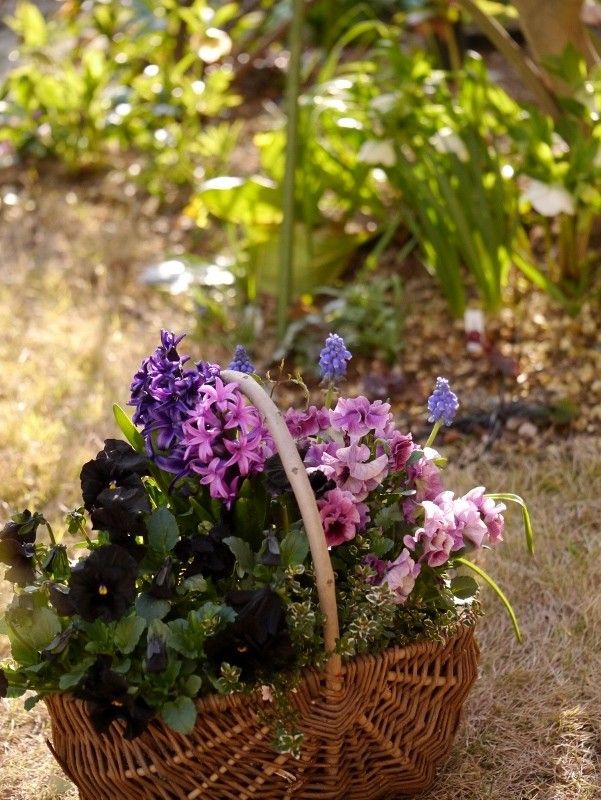 寄せ植えです。