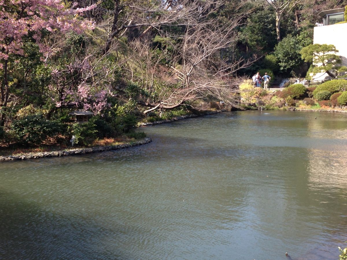 春一番の吹き荒れる中・・・その２