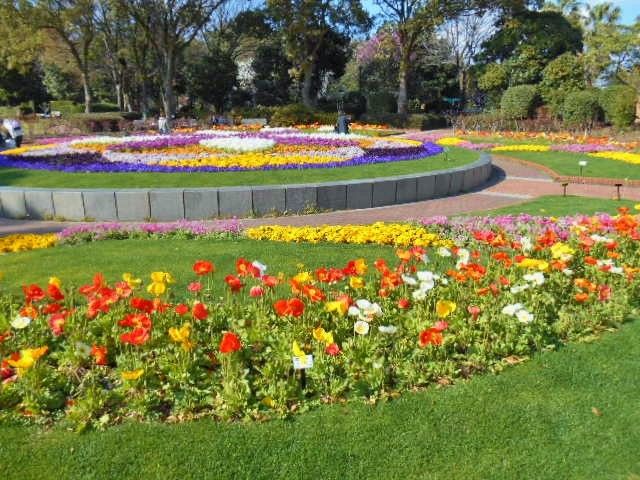 福岡市植物園・・蘭展