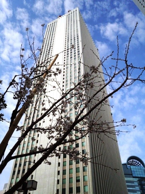 【園芸LOVE 原田が行く】超高層ビルの谷間を「花咲く谷」に