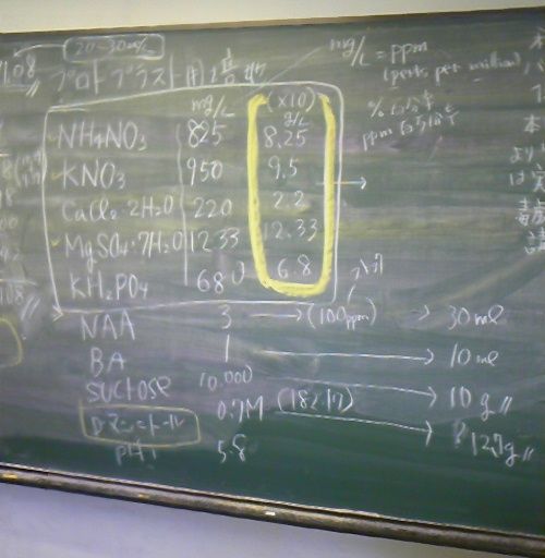 細胞融合用の培地のストックソルーションを作成しておりました。