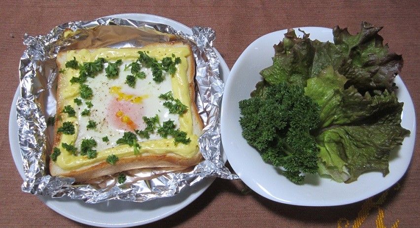 本日の昼食（パセリ、サニーレタス）