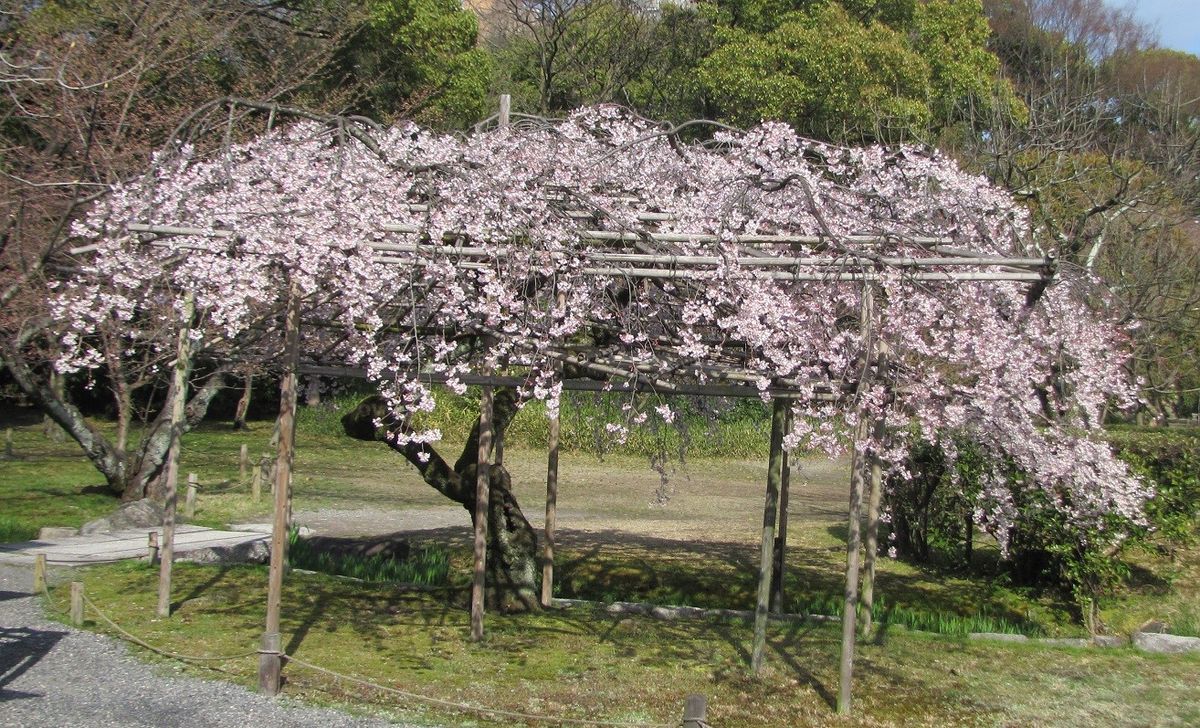 駆け足旅行は散々でした