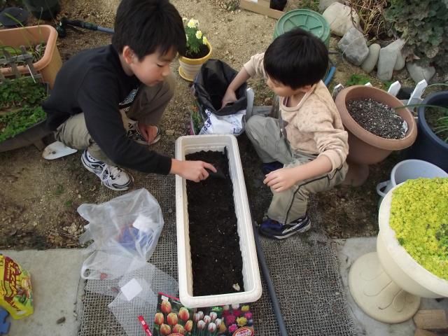 子供たちの園芸日和