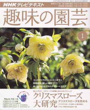 趣味の園芸１月号の予告です♪