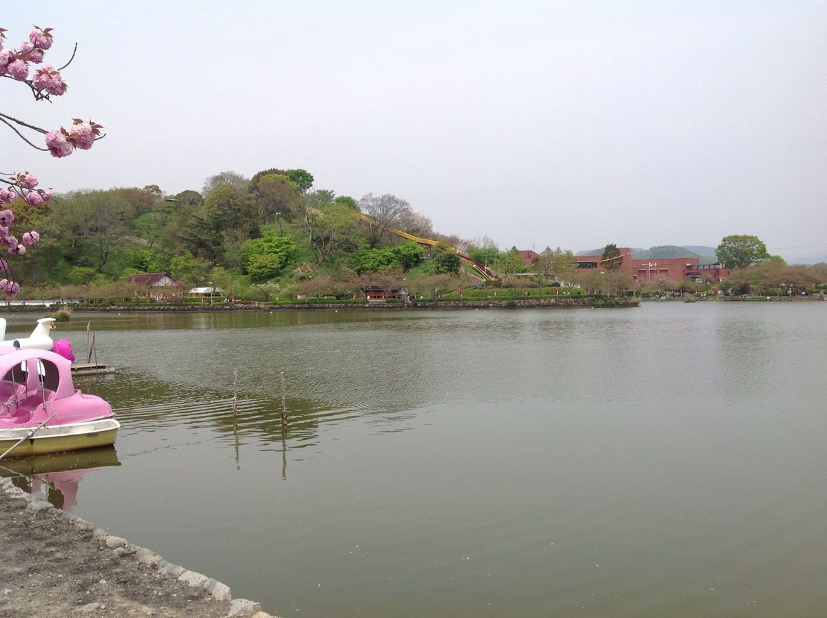 蓮華寺池公園