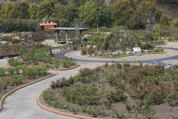 花フェスタ記念公園へ行ってきたよ