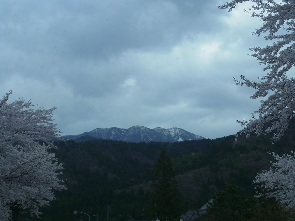 桜＆温泉