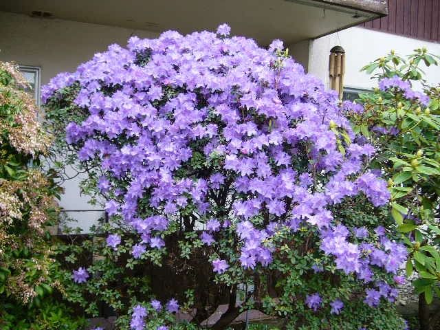 春風景