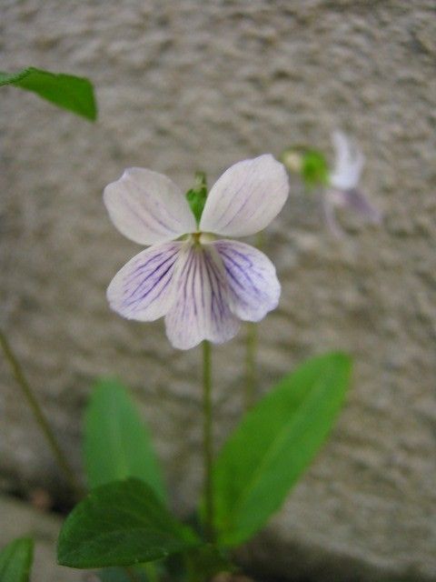 ずっと庭にいても飽きない季節