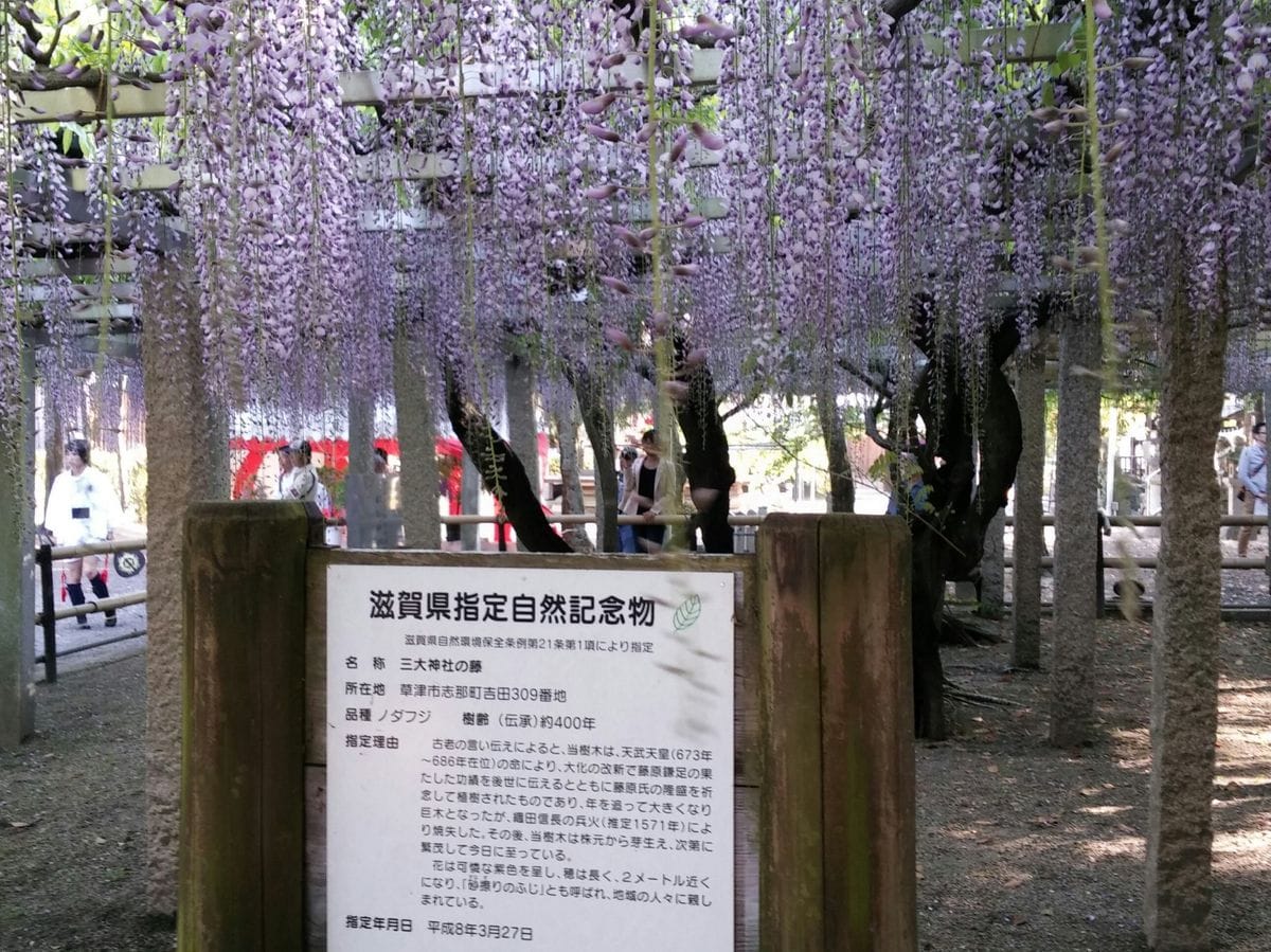 藤の大宮『三大神社』のお祭り