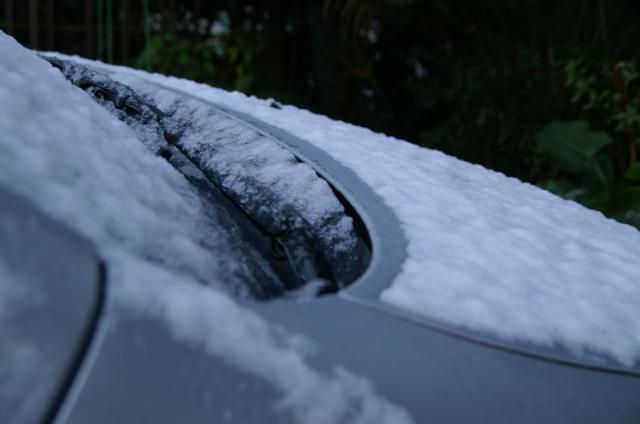 初雪が降った。