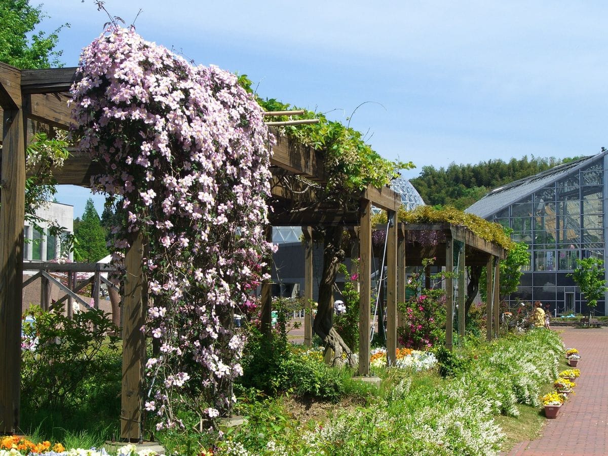 明日は、温室は休館日だけど…