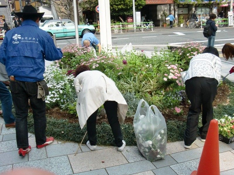 【園芸LOVE 原田が行く】最先端タウンで活きる「花の力」～六本木ヒルズ・グリーンアップ