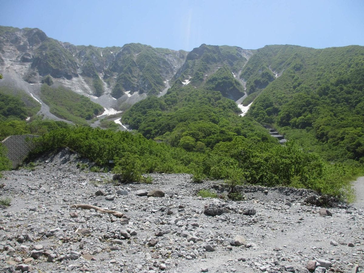 大山散策④