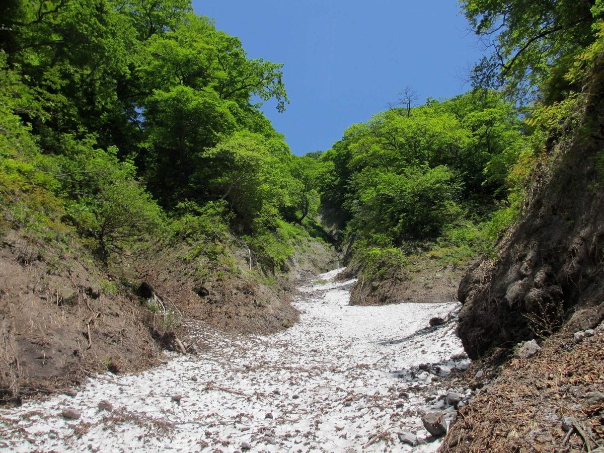 大山散策⑤