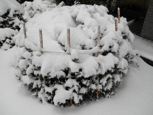 一転また雪景色～