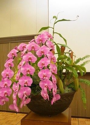 植物園協会の総会出席