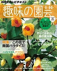 【テキスト発売情報】『趣味の園芸』『やさいの時間』『趣味の園芸ビギナーズ』7月号明日発売！