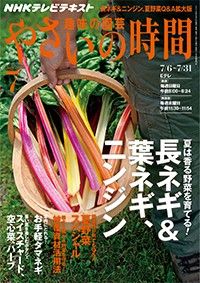 【テキスト発売情報】『趣味の園芸』『やさいの時間』『趣味の園芸ビギナーズ』7月号明日発売！