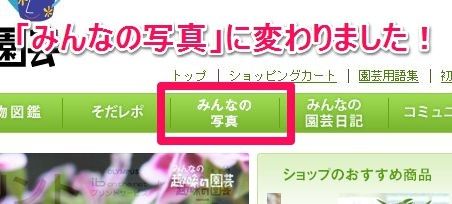 オープンガーデンの名称を「みんなの写真」に変更しました