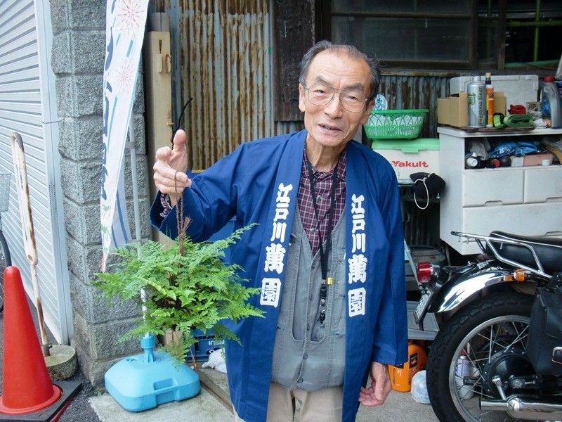 【園芸LOVE 原田が行く】釣りしのぶで得る涼感！――日本人の植物生活