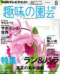 【テキスト発売情報】『趣味の園芸』『やさいの時間』8月号明日発売！