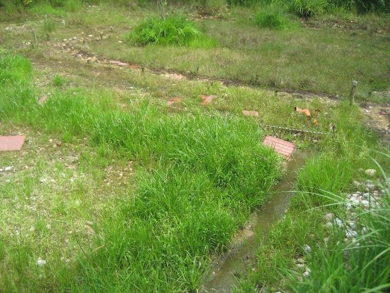 愛知県内の湿地見学